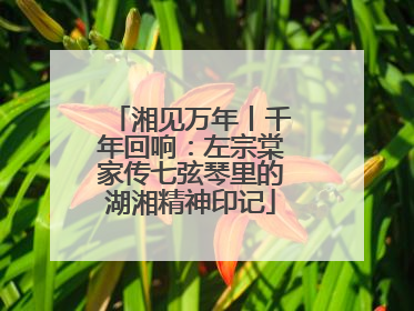 湘见万年丨千年回响：左宗棠家传七弦琴里的湖湘精神印记